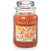 Honey Clementine