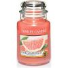 Pink Grapefruit