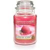 Raspberry Sorbet