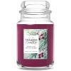 Sparkling Winterberry