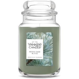 imageYankee Candle Balsam ampamp Cedar Scented Classic 22oz Large Jar Single Wick Candle Over 110 Hours of Burn Time Ideal Holiday GiftSilver Sage  Pine