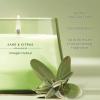 imageYankee Candle MidSummers Night Scented Signature 13oz Medium Jar 2Wick Candle Over 35 Hours of Burn TimeSage  Citrus
