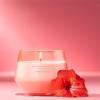 imageYankee Candle Studio Scented Candle with up to 50 Hour Burn Time Premium Plant Wax Blend for Consistent Burn 10 oz Jar Candle with Room Filling Fragrance Iced Berry LemonadeCliffside Sunrise