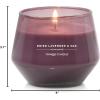 imageYankee Candle Studio Scented Candle with up to 50 Hour Burn Time Premium Plant Wax Blend for Consistent Burn 10 oz Jar Candle with Room Filling Fragrance Dried Lavender ampamp OakDried Lavender  Oak