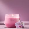 imageYankee Candle Studio Scented Candle with up to 50 Hour Burn Time Premium Plant Wax Blend for Consistent Burn 10 oz Jar Candle with Room Filling Fragrance Iced Berry LemonadeWild Orchid