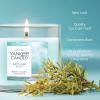 imageYankee Candle Large Tumbler Scented Candle with up to 80 Hour Burn Time Premium Plant Wax Blend for Consistent Burn 20 oz Tumbler Candle with Room Filling Fragrance Beach WalkCatching Rays
