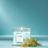 imageYankee Candle Large Tumbler Scented Candle with up to 80 Hour Burn Time Premium Plant Wax Blend for Consistent Burn 20 oz Tumbler Candle with Room Filling Fragrance Beach WalkCatching Rays