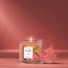imageYankee Candle Large Tumbler Scented Candle with up to 80 Hour Burn Time Premium Plant Wax Blend for Consistent Burn 20 oz Tumbler Candle with Room Filling Fragrance Dried Lavender ampamp OakAutumn Leaves
