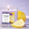 imageYankee Candle Large Tumbler Scented Candle with up to 80 Hour Burn Time Premium Plant Wax Blend for Consistent Burn 20 oz Tumbler Candle with Room Filling Fragrance Beach WalkLemon Lavender