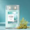 imageYankee Candle Large Tumbler Scented Candle with up to 80 Hour Burn Time Premium Plant Wax Blend for Consistent Burn 20 oz Tumbler Candle with Room Filling Fragrance Beach WalkCatching Rays