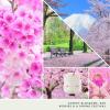 imageYankee Candle Medium Pillar Scented Candle with up to 115 Hour Burn Time Premium Plant Wax Blend for Consistent Burn 1425 oz Pillar Candle with Room Filling Fragrance Midnight JasmineSakura Blossom Festival