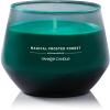 imageYankee Candle Studio Medium Candle Magical Frosted Forest 10 oz LongLasting EssentialOil Scented Soy Wax Blend Candle  4065 Hours of Burning TimeMagical Frosted Forest