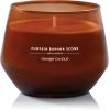 imageYankee Candle Studio Medium Candle Magical Frosted Forest 10 oz LongLasting EssentialOil Scented Soy Wax Blend Candle  4065 Hours of Burning TimePumpkin Banana Scone