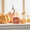 imageYankee Candle Studio Scented Candle with up to 50 Hour Burn Time Premium Plant Wax Blend for Consistent Burn 10 oz Jar Candle with Room Filling Fragrance Red Apple WreathSpiced Pumpkin