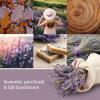 imageYankee Candle ScentPlug Refill Dried Lavender ampamp Oak 1 CT Pack of 2