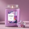 imageYankee Candle Wild Orchid Scented Candle 22oz Large Jar with up to 150 Hour Burn Time Great for GiftingWild Orchid