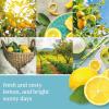 imageYankee Candle ScentLight Refill  Lemon LavenderSicilian Lemon