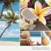 image:imageYankee Candle Car Air Fresheners Hanging Car Jar Ultimate Neutralizes Odors Up To 30 Days Lavender Vanilla 096 OZ Pack of 12Coconut Beach