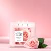 image:imageYankee Candle Fresh Cut Roses Scented Candle 145oz 3Wick Candle Jar with up to 40 Hours Burn TimeFresh Cut Roses