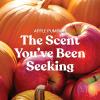 image:imageYankee Candle Home Sweet Home Fall Scented Candle 145oz 3Wick Candle Jar with up to 40 Hours Burn TimeDark Orange