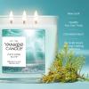 image:imageYankee Candle Seaside Woods Fall Scented Candle 145oz 3Wick Candle Jar with up to 40 Hours Burn TimeCatching Rays